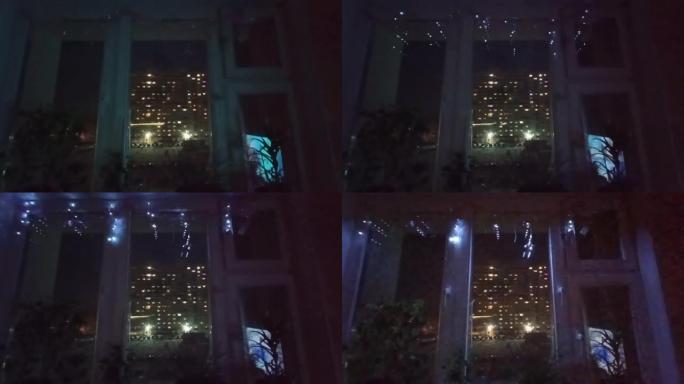 窗台上的几种室内植物在傍晚时分带有节日照明。