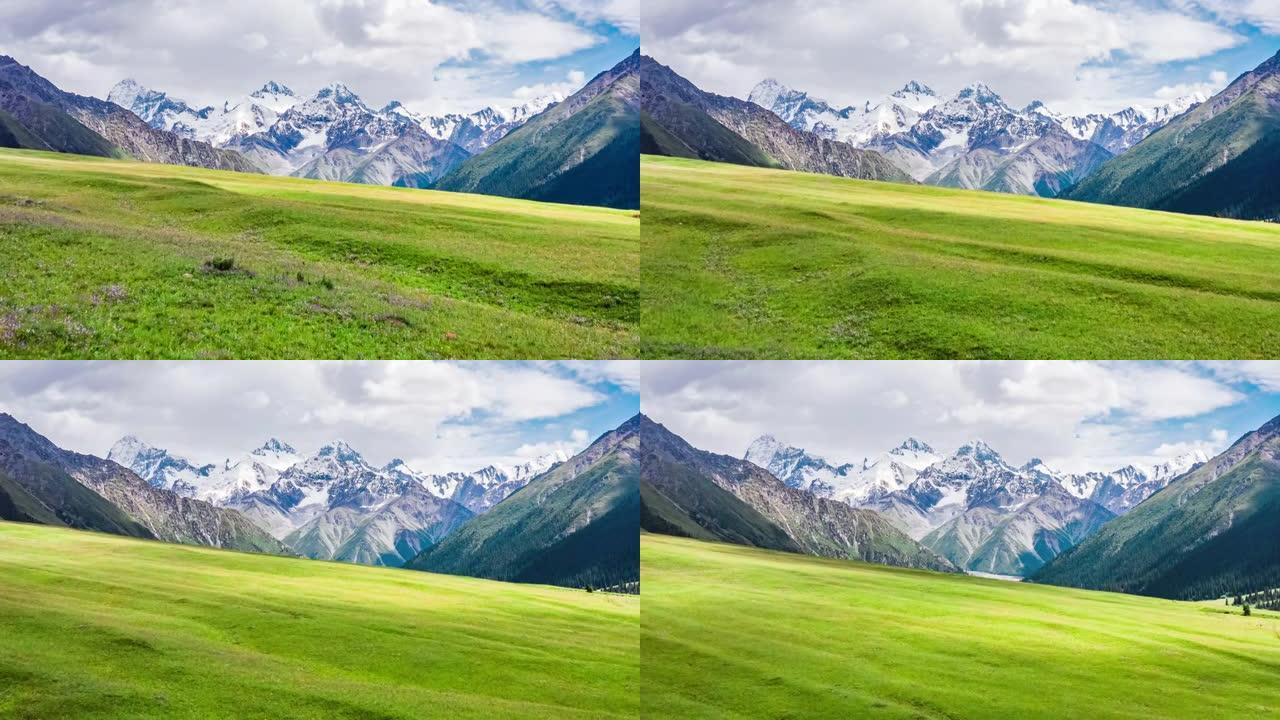 新疆绿色草原和雪山的航拍镜头