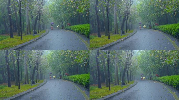 4K升格实拍，广州春雨朦胧路上撑伞的母女