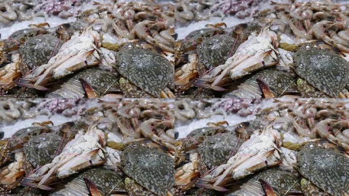 新鲜的螃蟹躺在鱼店柜台上的冰上