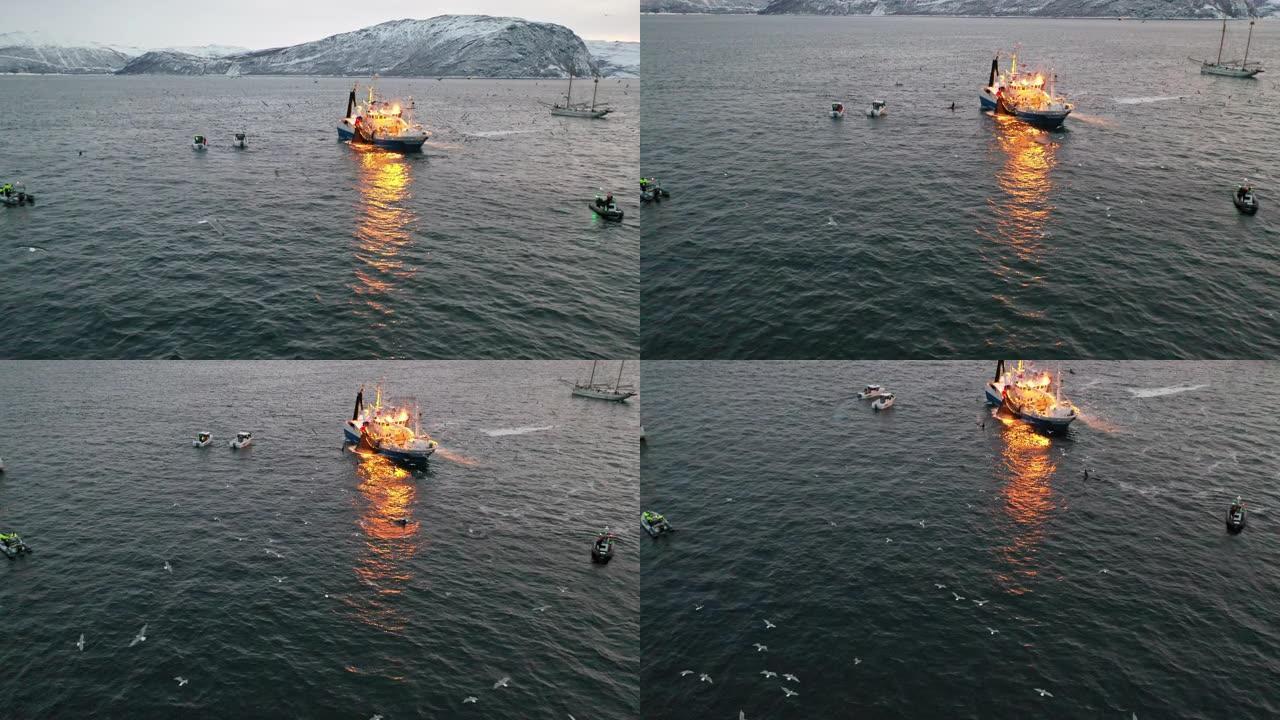 海鸟飞过鲸鱼，疯狂地用商业渔船在日出时在寒冷的北冰洋上网，周围有小船
