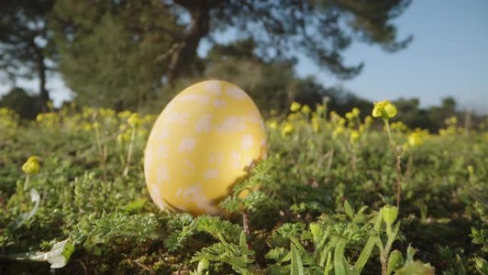 森林中的复活节彩绘彩蛋隐藏在绿草和黄色花朵之间。多莉滑块极限特写