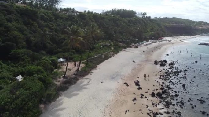 潘在巴西爱情海滩上的棕榈树上拍摄，炫耀着水和白沙。
无人机4k，巴西琵琶海滩。
空中自然旅行。
