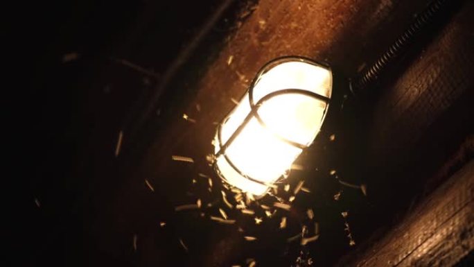 蚊子和昆虫在点亮的灯的灯光下飞翔。一群飞蛾在黑暗中绕着灯泡旋转。夜背景。4k视频片段。特写。夜光灯被