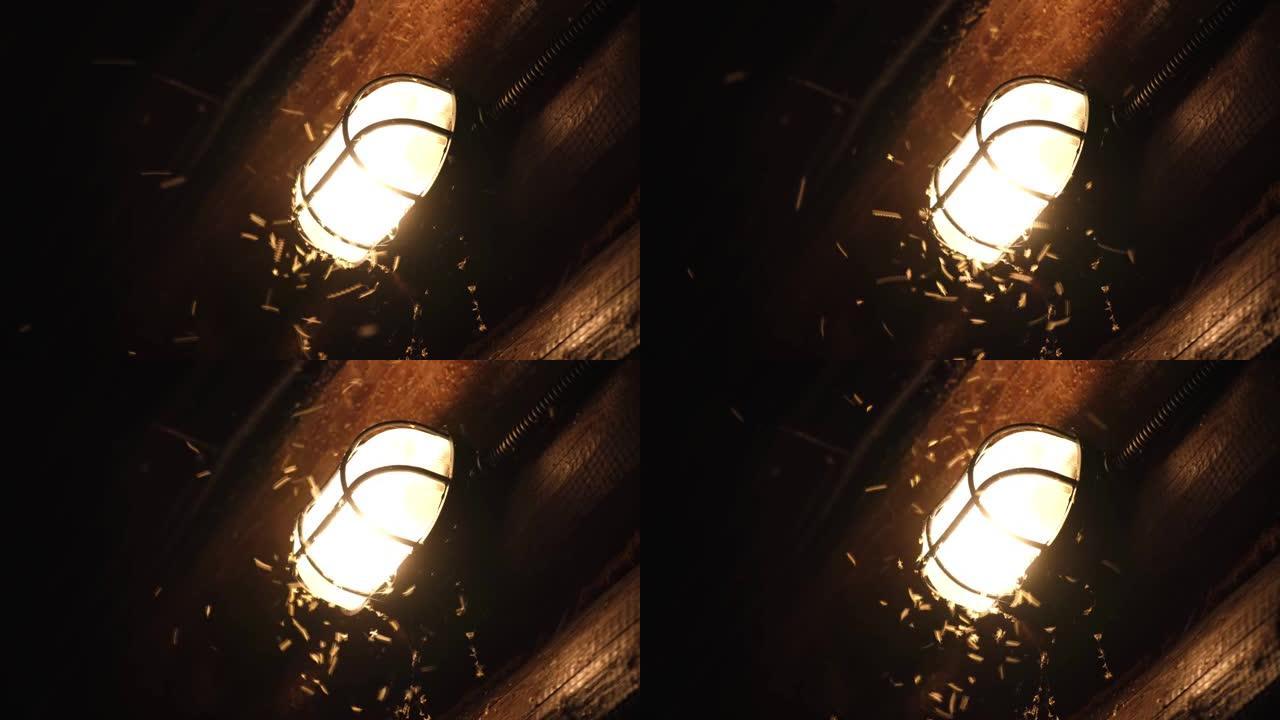 蚊子和昆虫在点亮的灯的灯光下飞翔。一群飞蛾在黑暗中绕着灯泡旋转。夜背景。4k视频片段。特写。夜光灯被