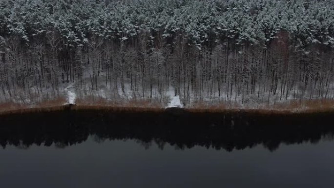 鸟瞰树梢覆盖在森林冬日的湖面积雪平静。宁静的自然，新鲜的空气，干净的蓝色水。在美丽安静的冬季湖上飞越