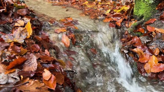 溪流上的瀑布，秋叶缤纷。