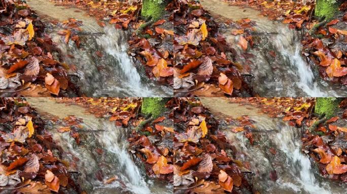 溪流上的瀑布，秋叶缤纷。