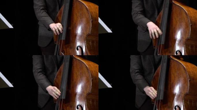 用音乐家的手指演奏低音提琴的细节