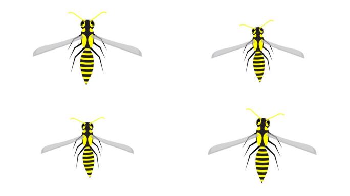 动画条纹黄蜂飞快，拍打翅膀。野生昆虫捕食者。白色背景上孤立的卡通循环视频