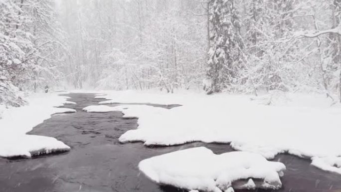 雪灾下的冬天森林里的野生冰冻小河，狂野的大自然，冰雪覆盖的树，和平与宁静