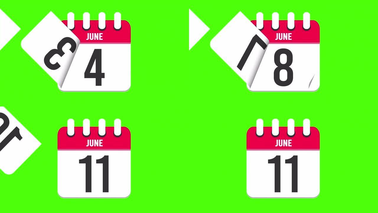 6月11日。日历出现，页面下降到6月11日。绿色背景，色度键 (4k循环)