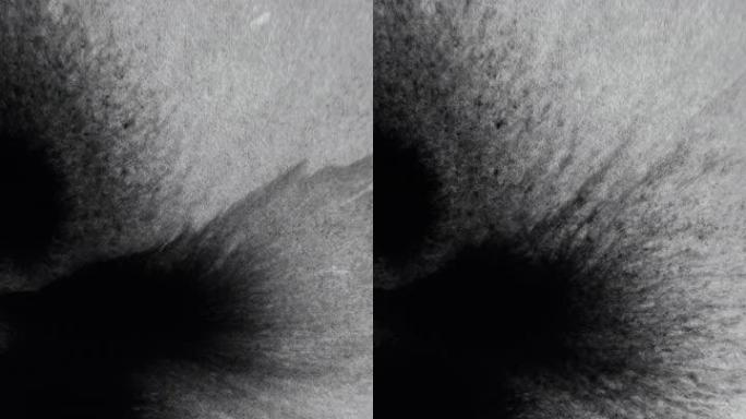 垂直视频墨水水滴污渍纹理黑色