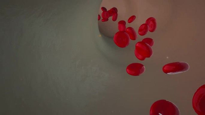 人类血液系统。血管内形成的血块的描绘。3D动画。