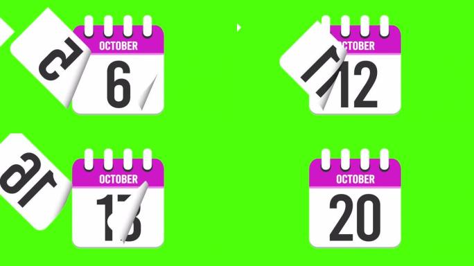 10月20日。日历出现，页面下降到10月20日。绿色背景，色度键 (4k循环)