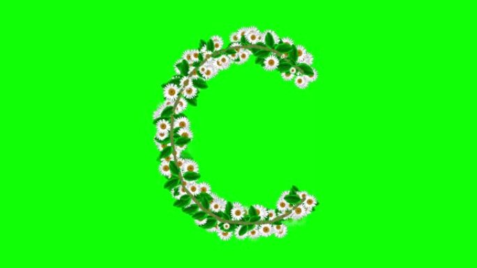 绿色屏幕背景上有雏菊花的英语字母C