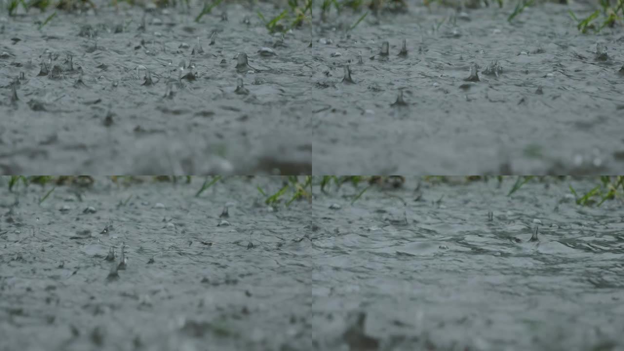 落在草地上的雨水飞溅不会完全吸收并形成水坑