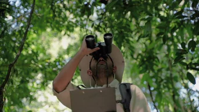 在森林漫步中收集数据的生物学家正在使用双筒望远镜观察树梢，保护概念，绿色，环境。