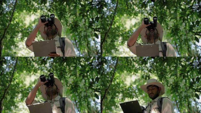 在森林漫步中收集数据的生物学家正在使用双筒望远镜观察树梢，保护概念，绿色，环境。