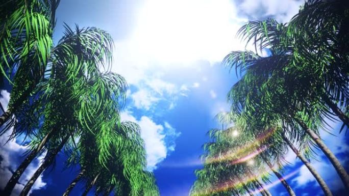 阳光明媚的天空下的棕榈大道VJ环路背景V2