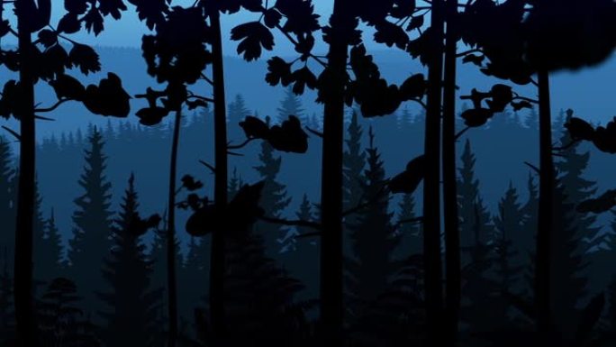 森林中的夜晚形式的动画图形插图