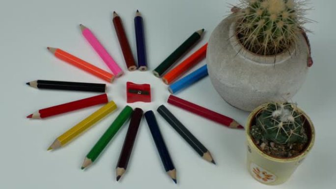 太阳形式的一组多色木铅笔，中央是卷笔刀，侧面是陶罐中的两个仙人掌。平铺，从上方看前