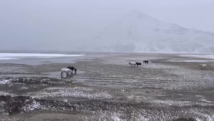 风雪来袭