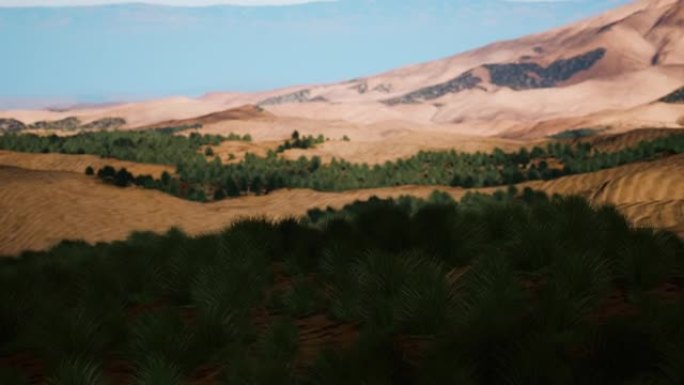 风景秀丽的沙漠草原景观
