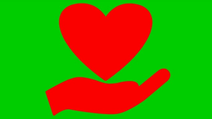 手掌上跳动的红色心脏。循环的心跳视频。慈善、健康、医学的概念。矢量插图孤立在绿色背景上。