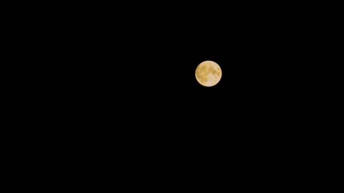 延时-橙色的满月在夜晚的黑色晴空中升起