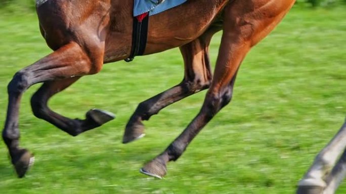 马疾驰。马蹄特写。跑马。版本7