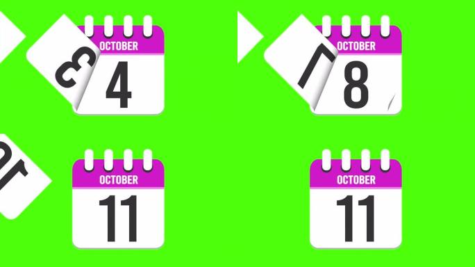 10月11日。日历出现，页面下降到10月11日。绿色背景，色度键 (4k循环)