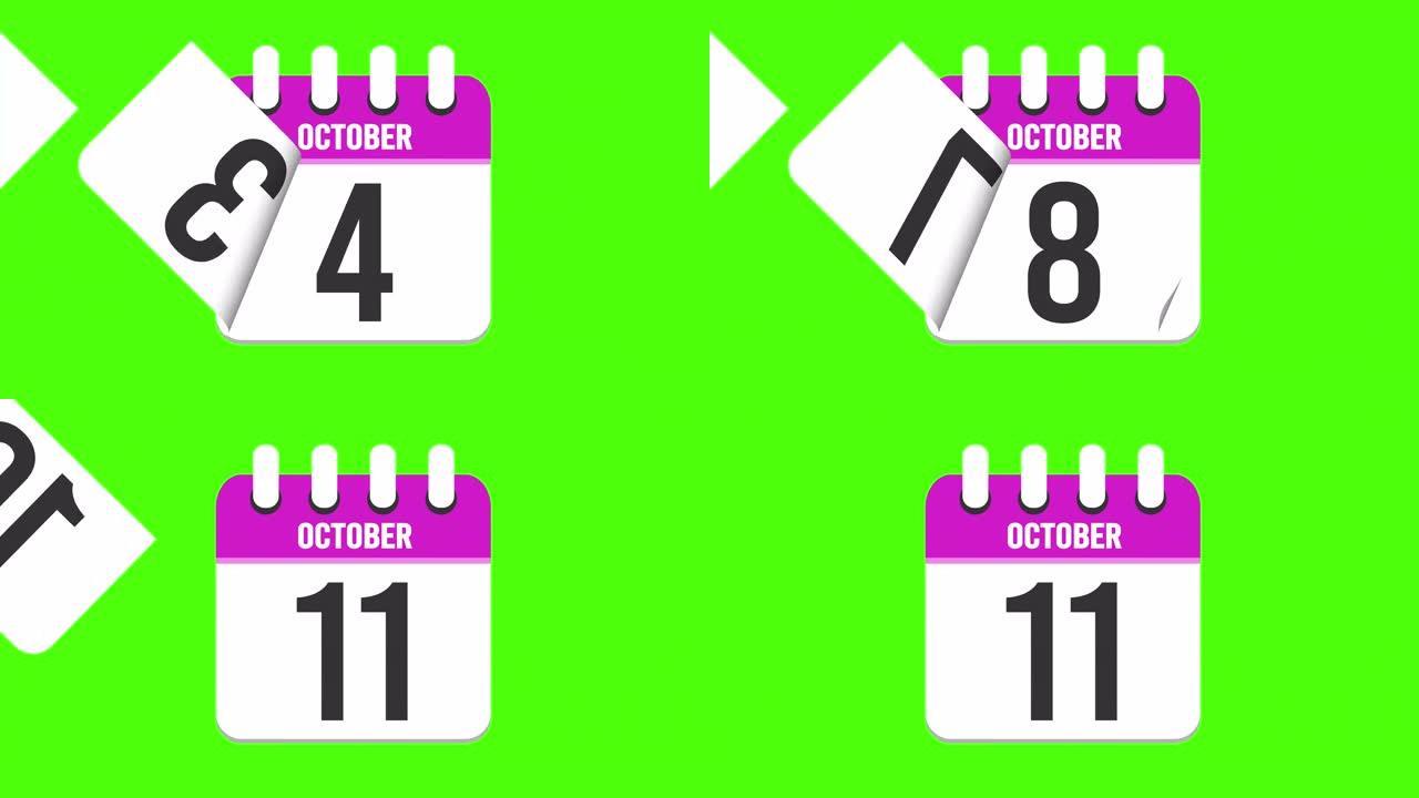 10月11日。日历出现，页面下降到10月11日。绿色背景，色度键 (4k循环)