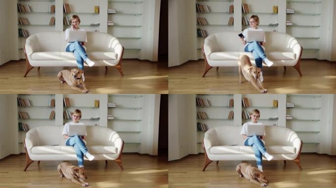 女人看着笔记本电脑屏幕坐在沙发上，一只棕色的狗躺在沙发旁。宽镜头镜头