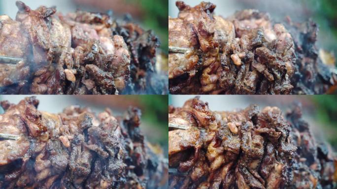 肉串在燃烧的火上烘烤和吸烟，多汁的肉块与脆皮在火上缓慢旋转，自制的调味肉里脊肉在烧烤吸烟者，为野餐派