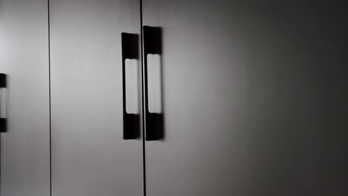 现代室内简约黑色衣柜。门细节。极简主义黑色门