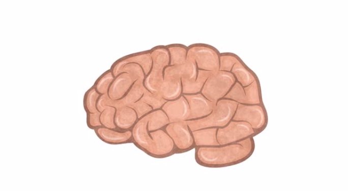 人脑。内脏器官的动画。卡通