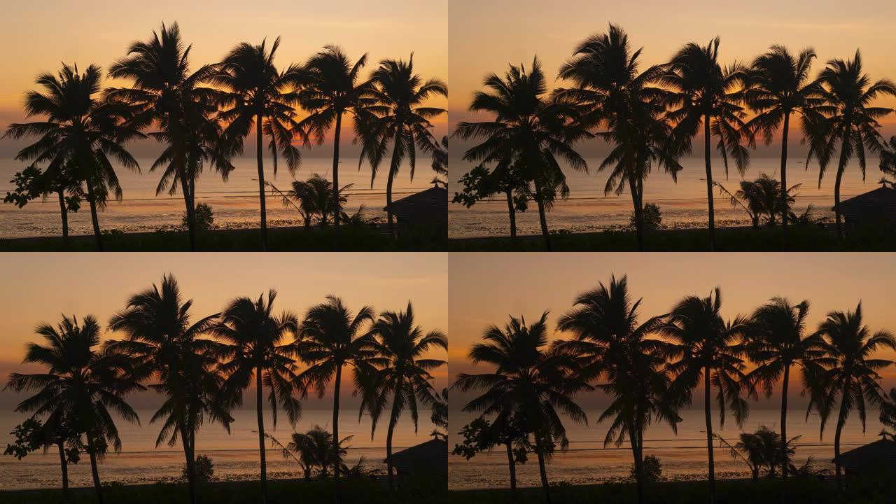 背景为海滩和黄昏日落的椰子树的轮廓。延时日落。放松和度假的感觉。潘开枪。泰国。普吉岛。尚塔布里。