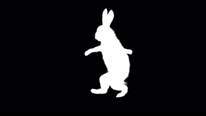 同系列摇摆舞兔的Alpha频道