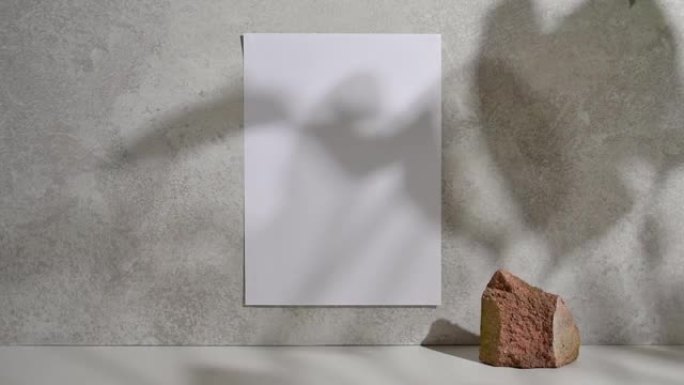墙上的白纸，带有复制空间和移动的阴影和太阳的反射