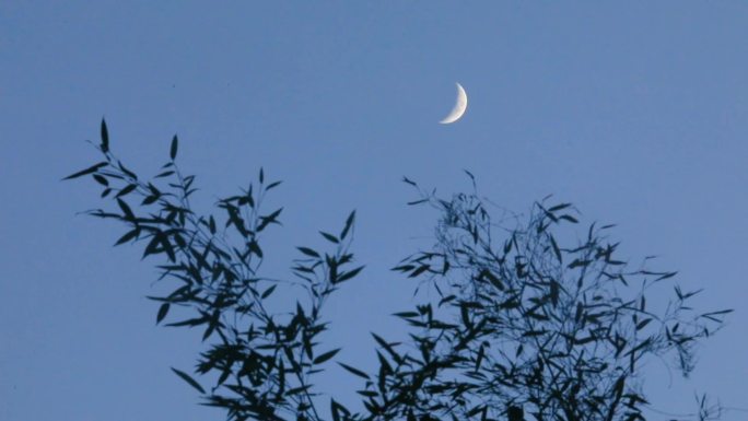 【高清】傍晚月亮意境唯美月夜