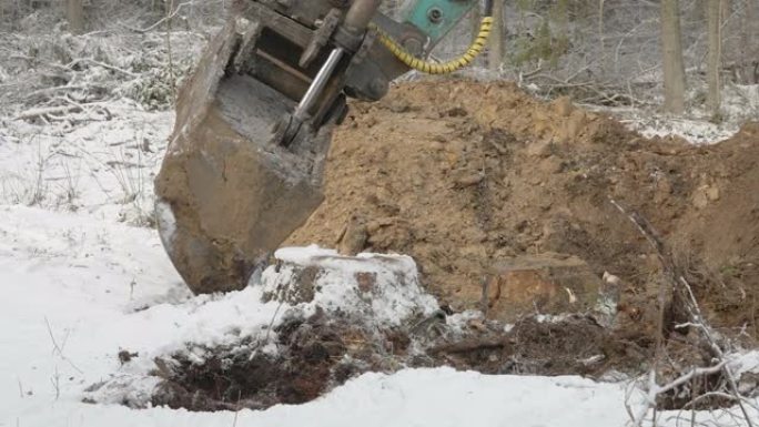 挖掘机的铲斗扎根在爱沙尼亚