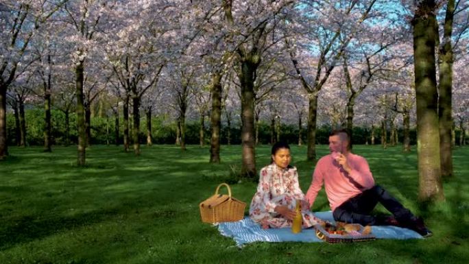 荷兰春天，夫妇在樱桃花公园野餐盛开的樱花树