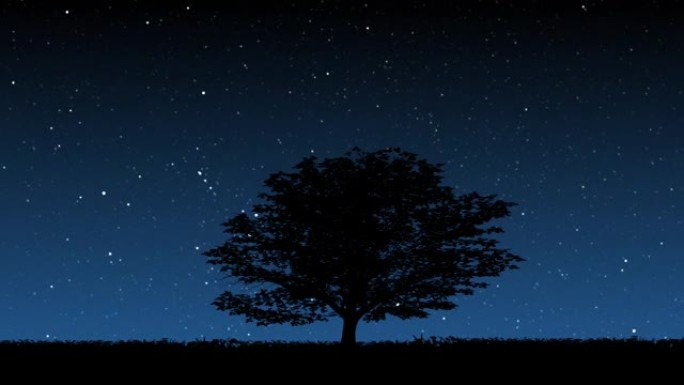 星空背景下的树的剪影