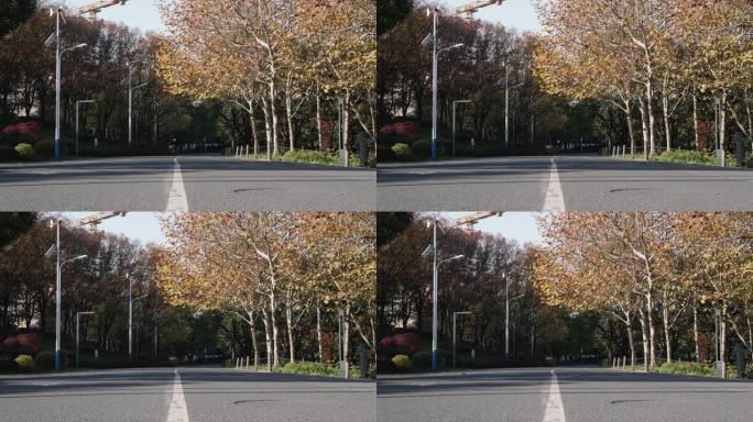 低角度视角城市街道在晴朗的秋日，树叶从树上落下，城市中的宁静景观，4k慢动作镜头。