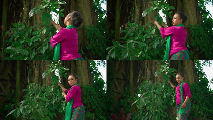 一名亚洲妇女早上在森林里戴着绿色围巾和粉红色连衣裙，抚摸着大树上的绿色叶子