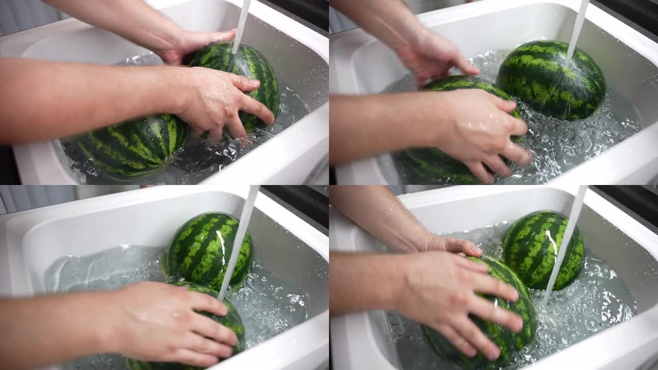 人用温水和可溶性苏打水在厨房水槽中清洗大圆条纹西瓜，以去除水果表面，土壤微生物和细菌中的工业化学添加