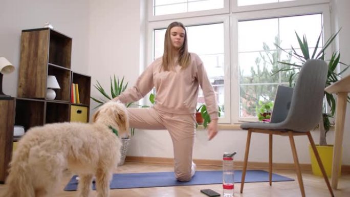 女人，在家练习瑜伽，同时在笔记本电脑上遵循在线瑜伽教程，而狗让她成为公司