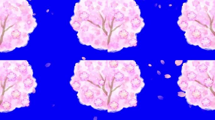 水彩樱花树和落花花瓣与天空动画