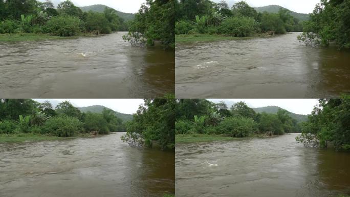 热带风暴过后的整条河流